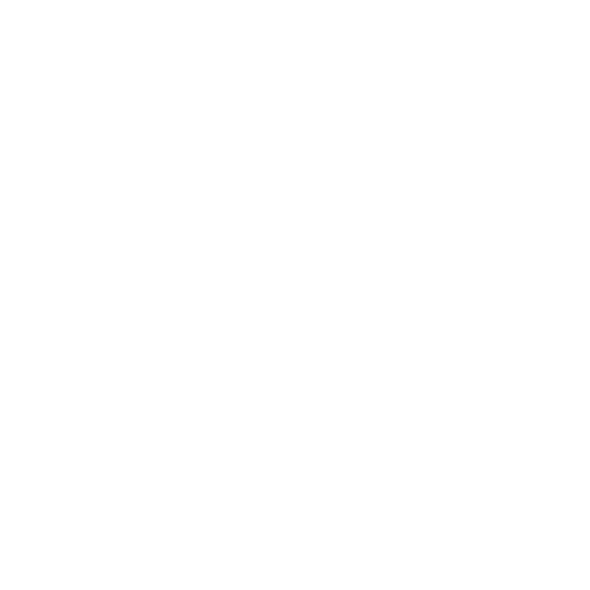 vision